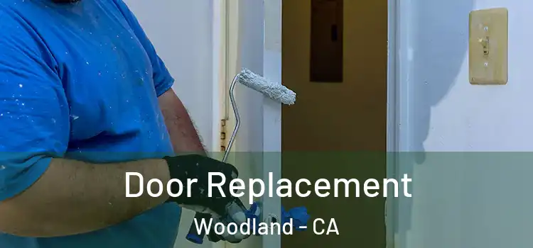 Door Replacement Woodland - CA