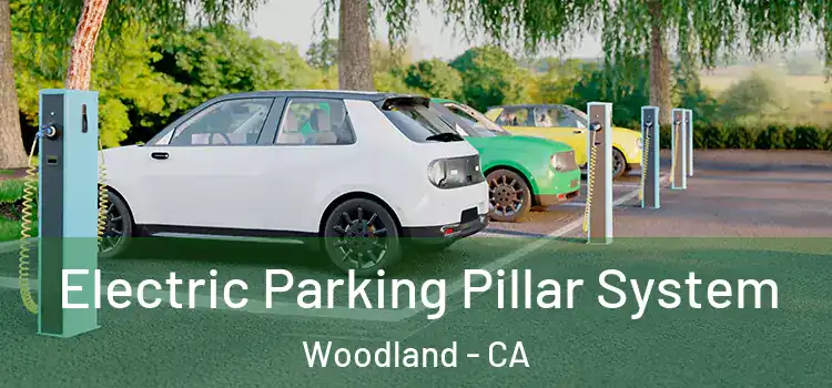 Electric Parking Pillar System Woodland - CA