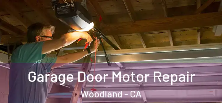  Garage Door Motor Repair Woodland - CA