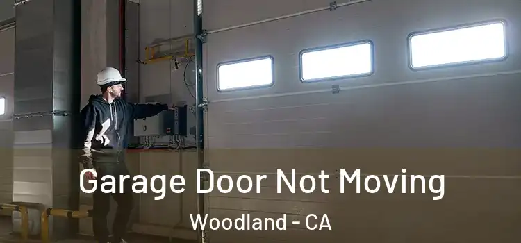  Garage Door Not Moving Woodland - CA