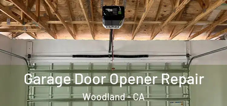  Garage Door Opener Repair Woodland - CA