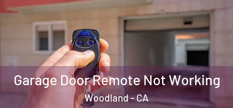  Garage Door Remote Not Working Woodland - CA
