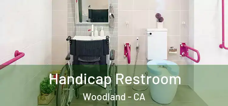 Handicap Restroom Woodland - CA