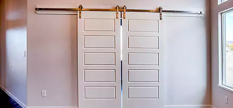 Glass Barn Door with Installation Hardware Kit Woodland
