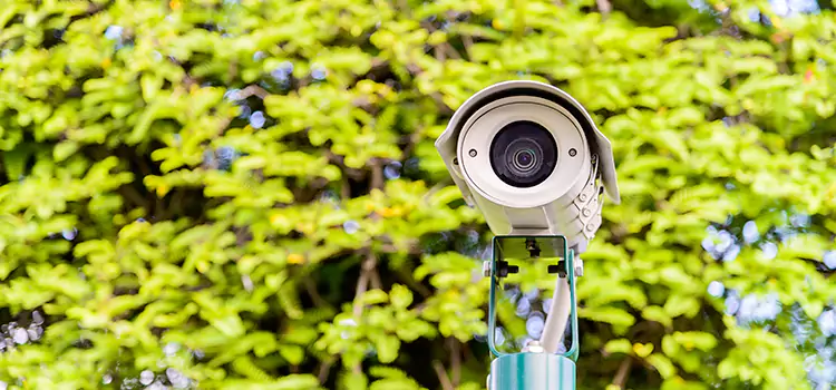 Advanced Surveillance Solutions for Every Need in Woodland