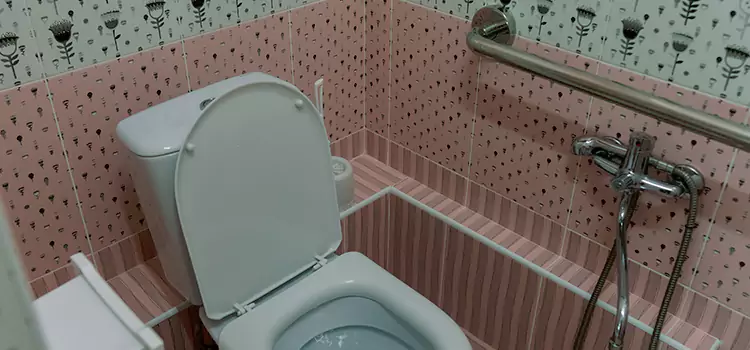 Meeting Diverse Needs With Accessible Restroom Solutions in Woodland, CA