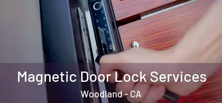Magnetic Door Lock Services Woodland - CA