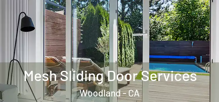 Mesh Sliding Door Services Woodland - CA